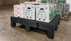 PolyMight Heavy-Duty Plastic Poly Dunnage Rack for Warehouses and Commercial Industrial Storage 60" x 30" x 12" with 2500 lb Capacity