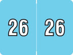 2026 Year Stickers, Doctor Stuff 2026 Chart Stickers, Light Blue Color Coded, Data File Style, USA Made Year Labels for End Tab File Folders, 500/Roll, 1 Roll, 15/16" x 1-1/4"