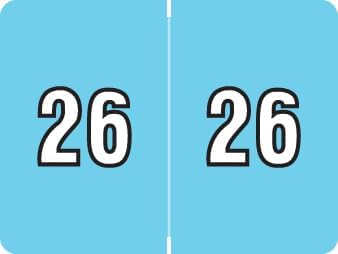 2026 Year Stickers, Doctor Stuff 2026 Chart Stickers, Light Blue Color Coded, Data File Style, USA Made Year Labels for End Tab File Folders, 500/Roll, 1 Roll, 15/16" x 1-1/4"