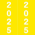 2025 Year Labels, Doctor Stuff 2025 Chart Stickers, Yellow Color Coded, IFC AFV Style, USA Made Year Stickers for X-Ray Jackets, 500/Roll, 1 Roll, 1-7/8" x 1-7/8"
