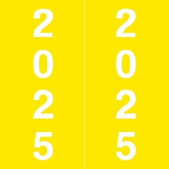 2025 Year Labels, Doctor Stuff 2025 Chart Stickers, Yellow Color Coded, IFC AFV Style, USA Made Year Stickers for X-Ray Jackets, 500/Roll, 1 Roll, 1-7/8" x 1-7/8"