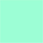Royal Green Rectangular Color Coding Stickers 1.57inch x 0.75 inch Rectangle Label Colored Tags for Kids in Pastel Green (40mm x 19mm) - 300 Pack