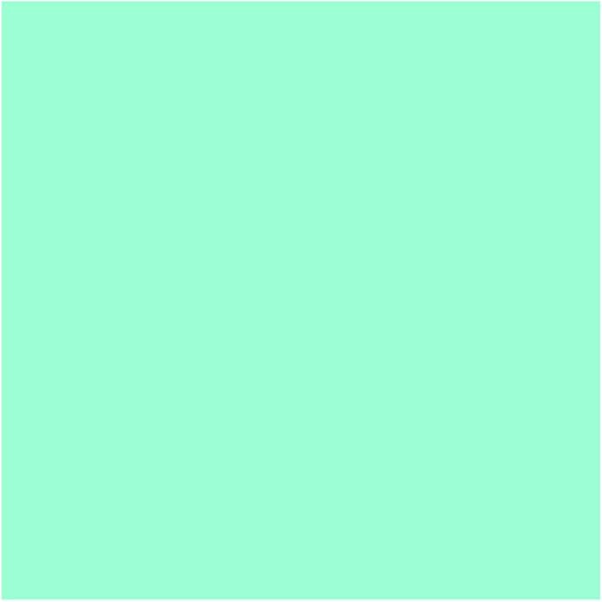 Royal Green Rectangular Color Coding Stickers 1.57inch x 0.75 inch Rectangle Label Colored Tags for Kids in Pastel Green (40mm x 19mm) - 300 Pack