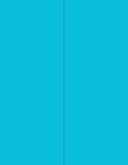 NextDayLabels - 8-1/2 x 11 Neon Color High Light Fluorescent Labels for Laser & Inkjet Printer (Blue Fluorescent, 4-1/4" x 11" - 2 Per Page | 50 Labels)