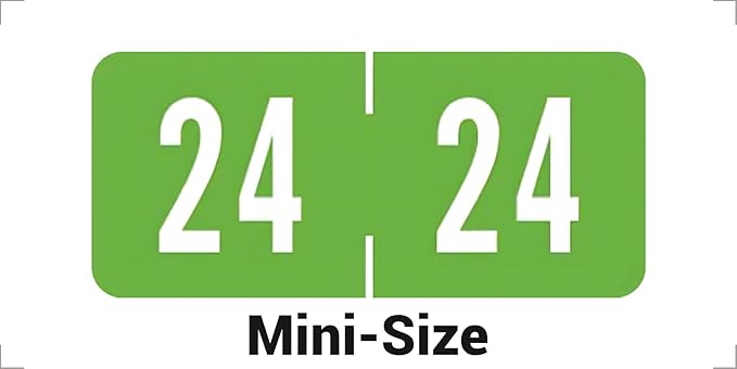 2024 Small Year Labels, Doctor Stuff 2024 Chart Stickers, Light Green Color Coded, Tab Products Style, USA Made Year Stickers for End Tab File Folders, 500/Roll, 1 Roll, 1/2" x 1-1/8"