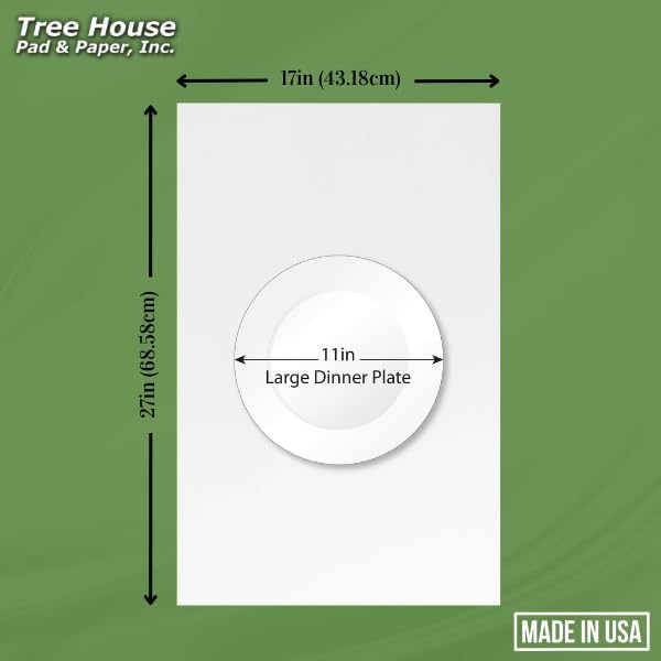 Tree House Packing Paper for Moving – 360 Newsprint Packing Paper Sheets – 27” x 17” Paper for Packing Dishes, Shipping, and Moving Supplies – Recyclable Movers’ Paper – Made in USA