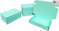20 Pcs 14.2 x 10.2 x 2.4 inches Larger Size Shipping Boxes for Small Business Cardboard Corrugated Mailer Boxes for Shipping Packaging Holidays Craft Gifts Giving Products (Mint green)