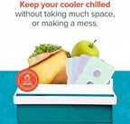 Healthy Packers Reusable Ice Packs for Lunch Boxes - Long Lasting Slim Freezer Packs, Thin Non-Toxic BPA-Free Hard Gel Ice Blocks for Coolers, Kids & Adults Lunch Bags, Travel, Camping, Food Storage