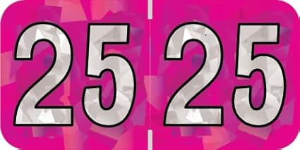 2025 Year Stickers, Doctor Stuff 2025 Chart Stickers, Holographic Fuchsia Colored, USA Made Year Labels for End Tab File Folders, 500 Labels per Roll, 1 Roll, 3/4" x 1-1/2"