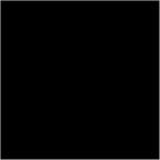 Royal Green Rectangle Black Sticker Labels 1.57 inch x 0.75 inch (40mm x 19mm) - 2000 Pack