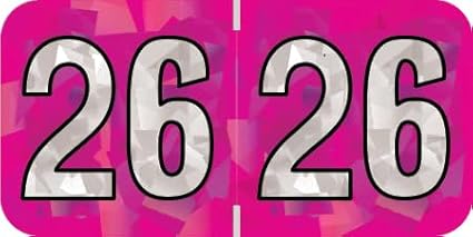 2026 Year Stickers, Doctor Stuff 2026 Chart Stickers, Holographic Fuchsia Colored, USA Made Year Labels for End Tab File Folders, 500 Labels per Roll, 1 Roll, 3/4" x 1-1/2"