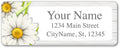 Personalized Return Address Labels - Charming Daisies Flowers - 60-1000 Custom Self-Adhesive Stickers