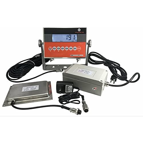 Liberty Scales SL-4x4-Explosion Proof (Legal) Industrial 48" x 48" intrinsically Safe NTEP Floor Scale for Warehouse or Shipping Weighing (10000 lbs x 2 lb)