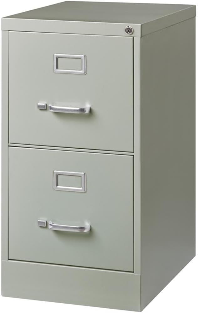 Pemberly Row 22" 2-Drawer Metal Letter Width Vertical Filing Cabinet in Light Gray