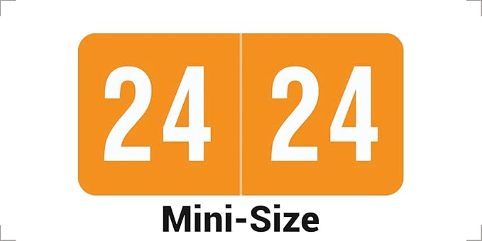 2024 MINI Year Stickers, Orange, Compatible with Smead ETS Series, Doctor Stuff 2024 Chart Stickers, USA Made Year Labels for End Tab File Folders, 250/Pack, 1 Package, 1/2" x 1" - Small Labels