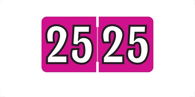 MINI 2025 Year Labels, Doctor Stuff 2025 Chart Stickers, Fuchsia Color Coded, Colwell Jewel Tone Style, USA Made Year Stickers for End Tab File Folders, 250/Pack, 1 Package, 1/2" x 1" - Small Labels