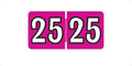 MINI 2025 Year Labels, Doctor Stuff 2025 Chart Stickers, Fuchsia Color Coded, Colwell Jewel Tone Style, USA Made Year Stickers for End Tab File Folders, 250/Pack, 1 Package, 1/2" x 1" - Small Labels