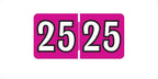 MINI 2025 Year Labels, Doctor Stuff 2025 Chart Stickers, Fuchsia Color Coded, Colwell Jewel Tone Style, USA Made Year Stickers for End Tab File Folders, 250/Pack, 1 Package, 1/2" x 1" - Small Labels