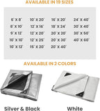 WHITEDUCK Super Heavy Duty Poly Tarp Cover 16 Mil & 10 Mil with Grommets and Reinforced Edges (Brown, White & Silver Black) (Silver Black- 10 Mil, 10' x 20')