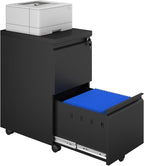 2 Drawer File Cabinet with Lock,29" H Small Filing Cabinet for Under Desk,Metal Filing cabinets for Home Office Organizer Letters/Legal/A4(Assembly Required,Black)