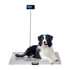 Animal Digital Scale, 200KG/440Lbs Electronic Stainless Steel Veterinary Scale Heavy Duty Digital Livestock Platform Scales with LCD Display & Power Adaptor for Animal Pet Cat Dog (440Lbs)