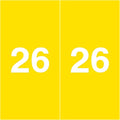 2026 Year Stickers, Doctor Stuff 2026 Chart Stickers, Yellow Color Coded, Ames Large Style, USA Made Year Labels for X Ray Jackets, 500/Roll, 1 Roll, 1-7/8" x 1-7/8"