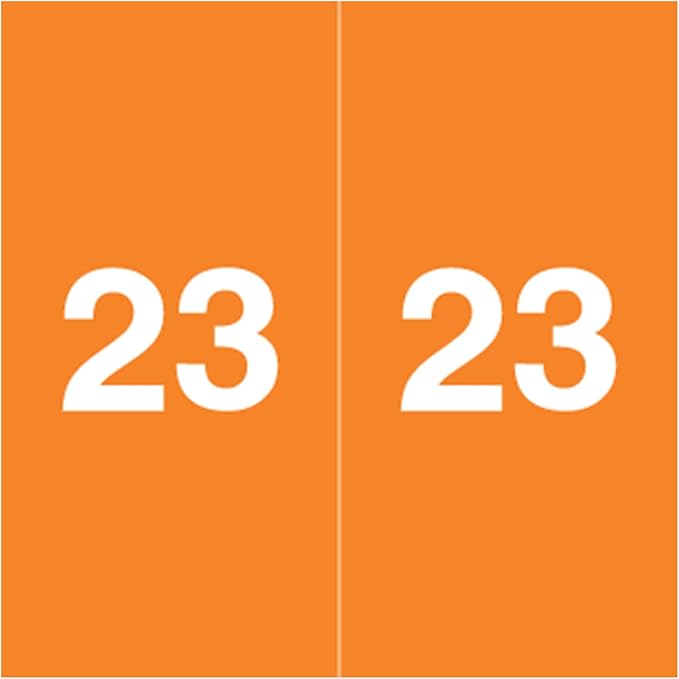 2023 Year Stickers, Doctor Stuff 2023 Chart Stickers, Orange, Ames Large Style, USA Made Year Labels for for X-Ray Jackets, 500/Roll, 1 Roll, 1-7/8" x 1-7/8"