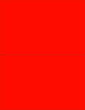 NextDayLabels - 8-1/2 x 11 Neon Color High Light Fluorescent Labels for Laser & Inkjet Printer (RED Fluorescent, 8-1/2" x 5-1/2" - 2 Per Page | 50 Labels)