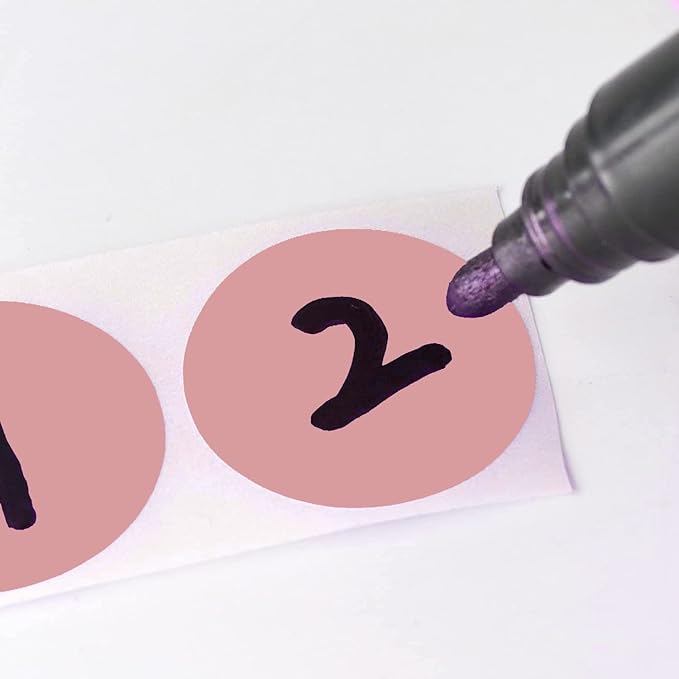 SHYGO® 1“ Pink Circle Dot Stickers Color Coding Labels, 1000PCS 2 Rolls