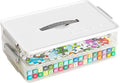 Portable Project Case Clear File Box with lids and Handle, Storage Containers for Stationery, Sewing, Art Craft, A4 Paper, 8.5" x 11" letters, Protecting Scrapbooks, Crafts, Office Supplies (2-Layer)