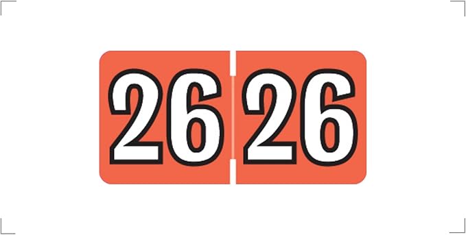 MINI 2026 Year Labels, Doctor Stuff 2026 Chart Stickers, Red Color Coded, Colwell Jewel Tone Style, USA Made Year Stickers for End Tab File Folders, 250/Pack, 1 Package, 1/2" x 1" - Small Labels