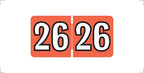 MINI 2026 Year Labels, Doctor Stuff 2026 Chart Stickers, Red Color Coded, Colwell Jewel Tone Style, USA Made Year Stickers for End Tab File Folders, 250/Pack, 1 Package, 1/2" x 1" - Small Labels