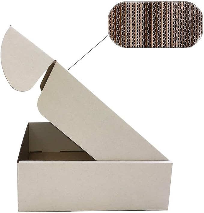Shipping Boxes 11x9x3 inch Set of 25，White Corrugated Cardboard Box for Mailing Literature Mailer Small Business Shipping Packing Gifts Craft Digest Size Book Giving Products (11x9 x3 Inches)