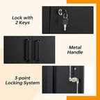STANI Metal Storage Cabinet with 2 Adjustable Shelves, Steel Counter Cabinet with Lockable Doors for Home Office (Black)