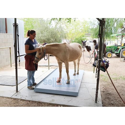 SellEton SL-929 Livestock & Cattle Alleyway Scale with The Size XL-8’ x 48" | 5000 lbs x 1 lb