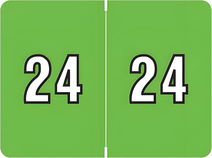 2024 Year Stickers, Doctor Stuff 2024 Chart Stickers, Green Color Coded, Data File Style, USA Made Year Labels for End Tab File Folders, 500/Roll, 1 Roll, 15/16" x 1-1/4"
