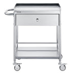 VEVOR Medical Cart, 2-Layer Stainless Steel Cart 220 lbs Weight Capacity, Lab Utility Cart with 360° Silent Wheels and a Drawer for Lab, Clinic, Kitchen, Salon