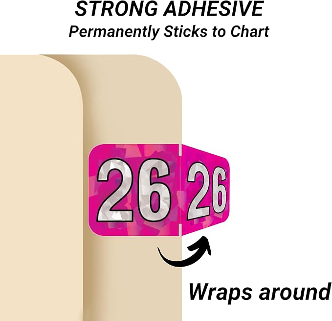 2026 Year Stickers, Doctor Stuff 2026 Chart Stickers, Holographic Fuchsia Colored, USA Made Year Labels for End Tab File Folders, 500 Labels per Roll, 1 Roll, 3/4" x 1-1/2"