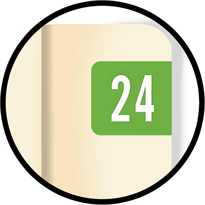 2024 Small Year Labels, Doctor Stuff 2024 Chart Stickers, Light Green Color Coded, Tab Products Style, USA Made Year Stickers for End Tab File Folders, 500/Roll, 1 Roll, 1/2" x 1-1/8"