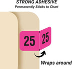2025 Year Labels, Doctor Stuff 2025 Chart Stickers, Fluorescent Pink Color Coded, USA Made Year Stickers for End Tab File Folders, 500 Labels/Roll in a Dispenser Box, 3/4" x 1-1/2"