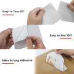 DGBDPACK 4"x6" Direct Thermal Shipping Labels 2400 Lables/8 Roll (300 Pcs per Roll) Compatible with Zebra Rollo Beeprt Printer Permanent Adhesive