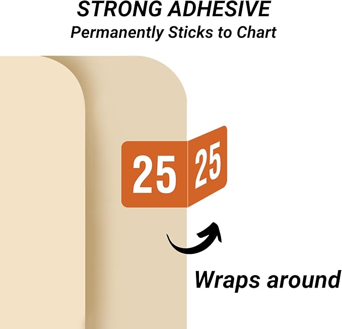 2025 MINI Year Stickers, Brown, Compatible with Smead ETS Series, Doctor Stuff 2025 Chart Stickers, USA Made Year Labels for End Tab File Folders, 250/Pack, 1 Package, 1/2" x 1" - Small Labels