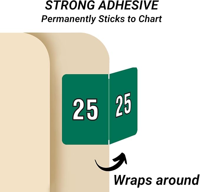 2025 Year Stickers, Doctor Stuff 2025 Chart Stickers, Green Color Coded, Data File Style, USA Made Year Labels for End Tab File Folders, 500/Roll, 1 Roll, 15/16" x 1-1/4"