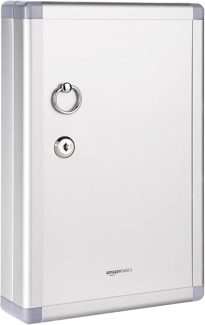 Amazon Basics 24-Key Position Cabinet Key lock Box, Silver, 12.5"D x 8.5"W x 2.45"H