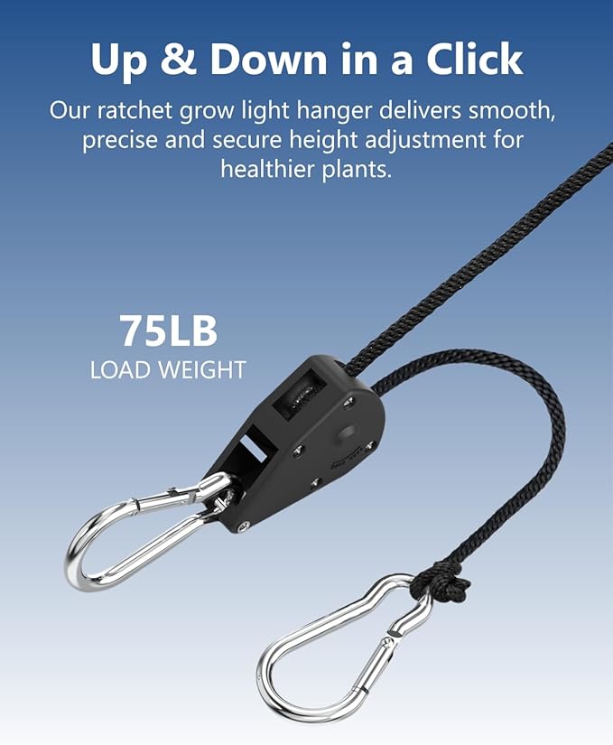1/8" Retractable Tie Down Straps: 12 Pack of Heavy Duty Rope Hangers - Functional Equipment for Indoor or Outdoor