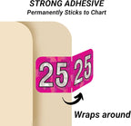 2025 Year Stickers, Doctor Stuff 2025 Chart Stickers, Holographic Fuchsia Colored, USA Made Year Labels for End Tab File Folders, 500 Labels per Roll, 1 Roll, 3/4" x 1-1/2"