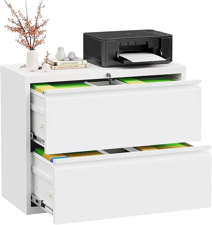 INTERGREAT Lateral File Cabinet 2 Drawer, Metal 2 Drawer White Filing Cabinet with Lock for Home Office, Locking File Cabinets for Letter/Legal/F4/A4 Size Hanging Files, Easy Assembly