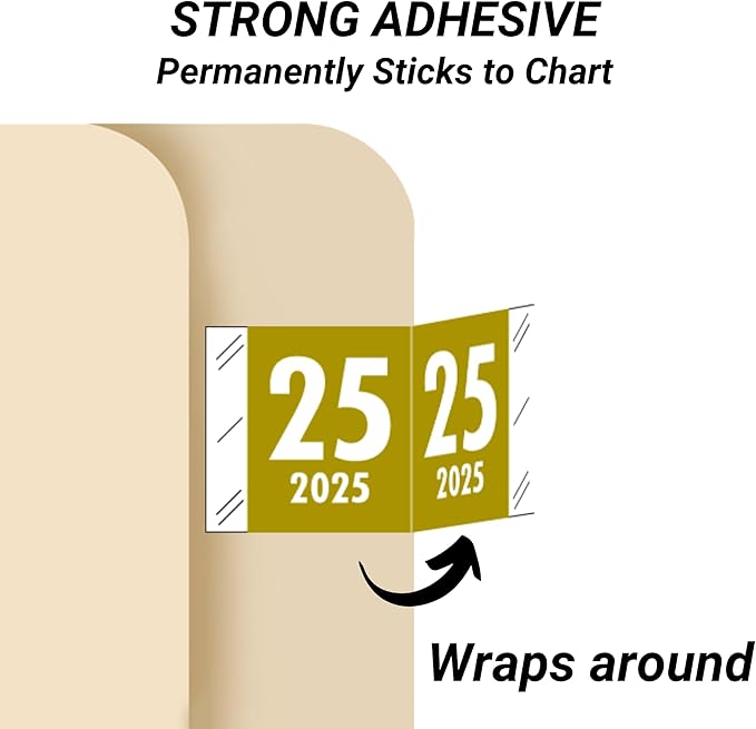 2025 Year Labels, Doctor Stuff 2025 Chart Stickers, Gold Color Coded, Tabbies 11700 Style, USA Made Year Stickers for End Tab File Folders, 1000/Roll, 1 Roll, 3/4" x 1-1/2"