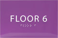 6" X4" Floor 6 Sign - ADA Compliant Tactile Graphics Grade 2 Braille Text | Wall Mount Plastic Directional Assistance, Floor Number Sign for Office, Schools, Hospitals, Apartments