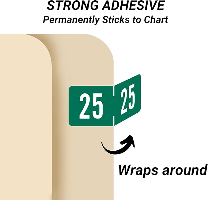 2025 Small Year Labels, Doctor Stuff 2025 Chart Stickers, Green Color Coded, Tab Products Style, USA Made Year Stickers for End Tab File Folders, 500/Roll, 1 Roll, 1/2" x 1-1/8"